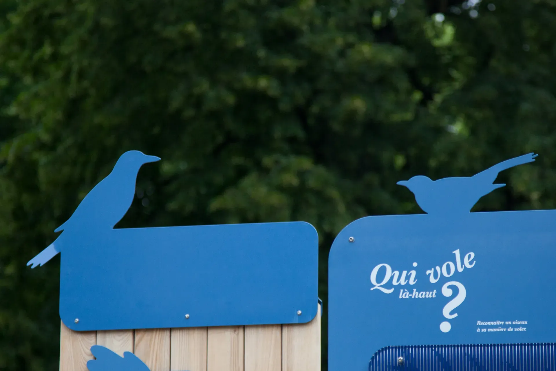 08LESOISEAUX.webp