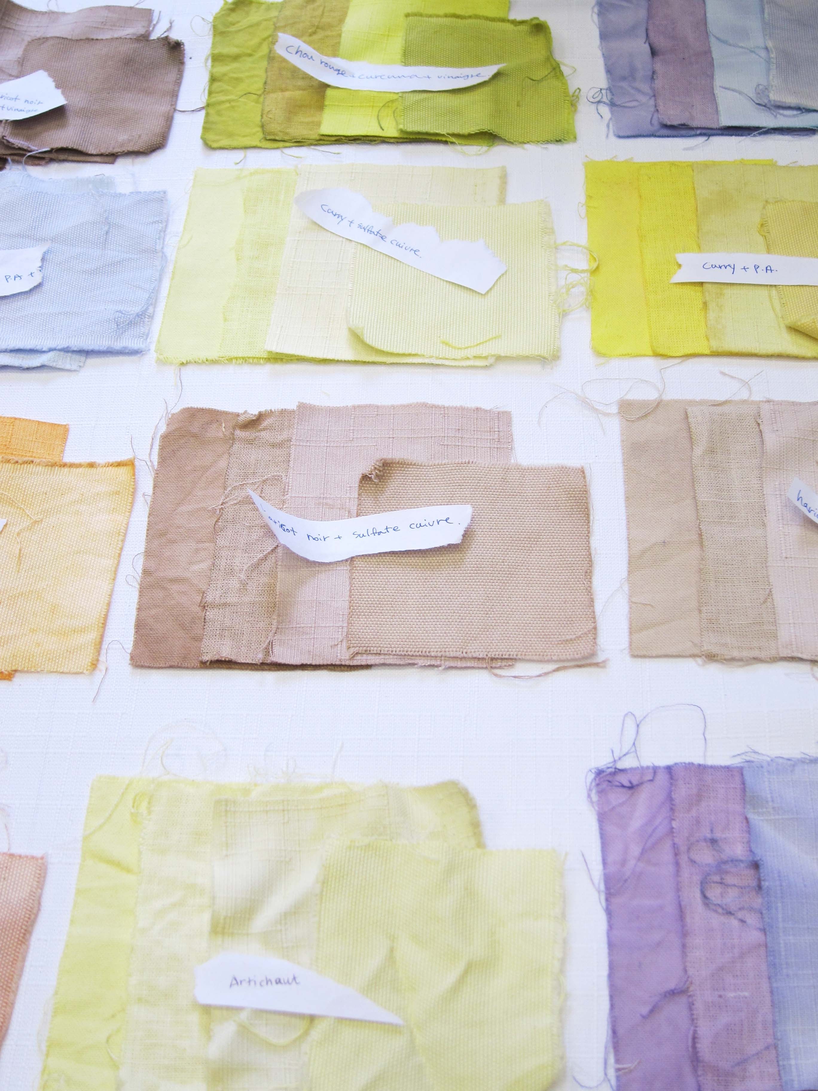 WORKSHOP COULEURS NATURELLES